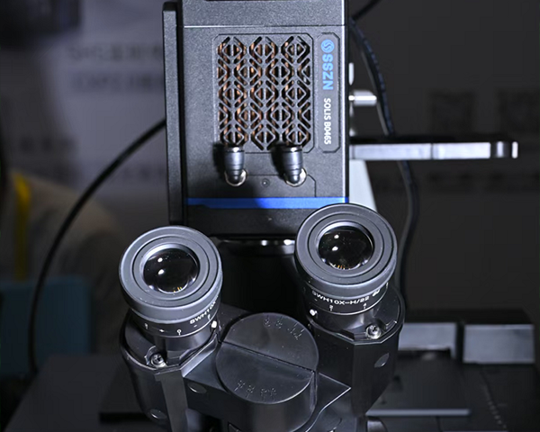 植物細(xì)胞熒光成像 植物細(xì)胞熒光成像