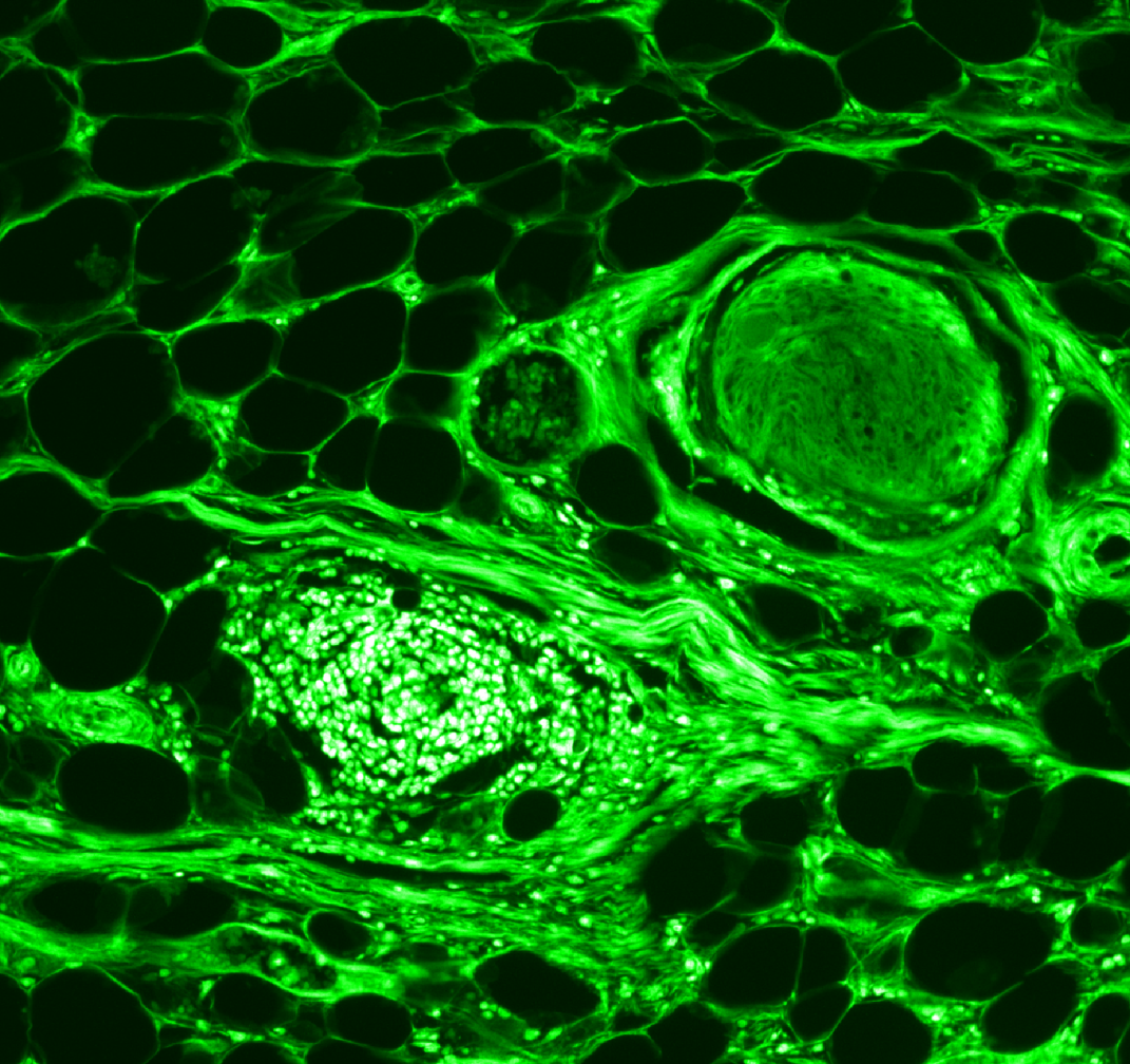 1757672038488939.png 1757672038488939.png