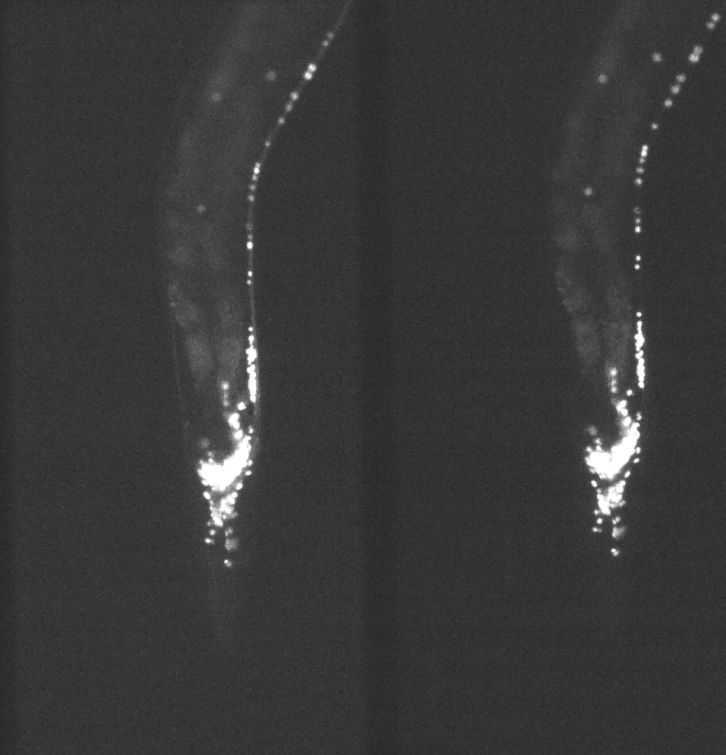 1757907721332575.png 1757907721332575.png